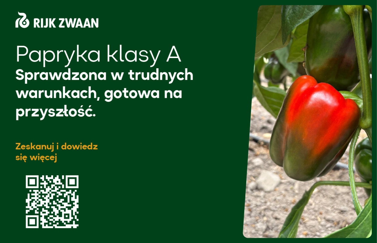 RIJK Zwaan_papryka_620x400px