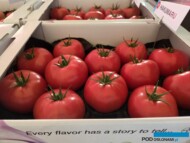 Pomidor malinowy Hakumaru ma już swoich następców z odpornością na ToBRFV (fot. AW)