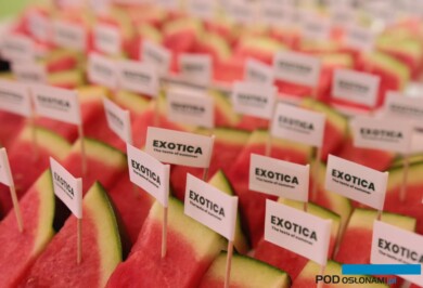 Arbuz bezpestkowy Exotica (fot. Hazera)