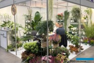 holenderskiej firmy eksportowej Visser Planten_Zieleń to Życie 2025_fot. A-Cecot