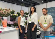 Hurtownię Bloomwave prowadzą (od lewej): Elwira Graczyk, Patrycja Trojnar i Muzaffer Çoban_ZielenToŻycie 2025_fot. A-Cecot