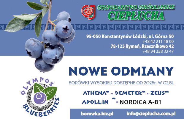 Ciepłucha banner nowy