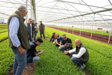 Dzień Otwarty firmy Cora Seeds (fot. Cora Seeds)