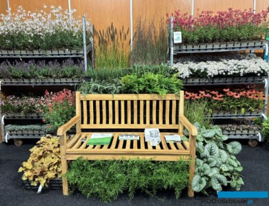 Wizualnie atrakcyjne byliny do handlu detalicznego _GrootGroenPlus 2025_fot. A-Cecot