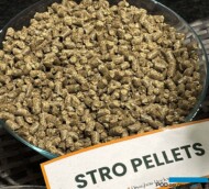 Pelety ze słomy zbożowej (z ekspozycji firmy firmę Disaghor-Dockx) są oferowane jako ściółka_ GrootGroenPlus 2025_fot. A-Cecot