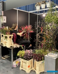 Michał Herkt - wicemistrz w kategorii "Juniorzy"_5. Florystyczne Mistrzostwa Polski_Gardenia 2025_Poznań_fot. A-Cecot