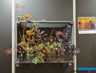 Zadanie niespodzianka pt. „Wolność ma swoje ramy”_Joanna Kiedacz_kompozycja w ramie inspirowana obrazem W. Weissa "Promienny zachód słońca"_5. Florystyczne Mistrzostwa Polski_Gardenia 2025_Poznań_fot. A-Cecot