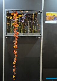 Zadanie niespodzianka pt. „Wolność ma swoje ramy” - Z. Sieradzan_5. Florystyczne Mistrzostwa Polski_Gardenia 2025_Poznań_fot. A-Cecot