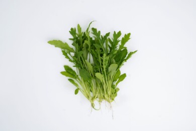 Rukola Karina (fot. Cora Seeds)