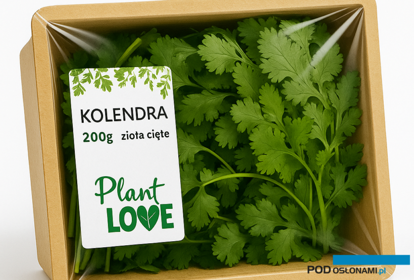 SVI stawia na rozwój oferty ziół ciętych (fot. SVI)