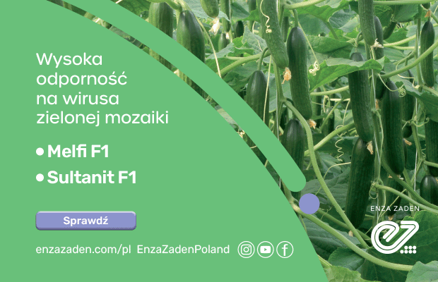 https://www.syngentavegetables.com/pl-pl/product/seed/ogorek/spear
