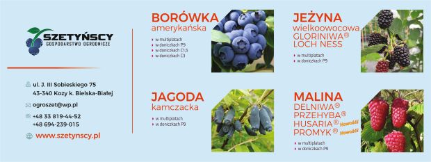 Szetynscy 2023_poprawne wymiary (003)