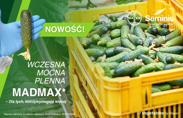 Seminis/Bayer Baner Madmax 620x400px