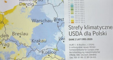 Obecne strefy klimatyczne dla Polski, z przeważającymi strefami 6 - niebieska i 7 - żółta (screen z przezrocza prezentacji P. Banaszczaka)