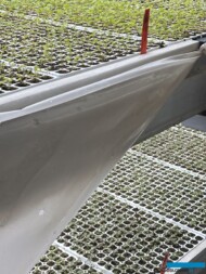 szklarniotron_Vitroflora 2025_fot. A-Cecot