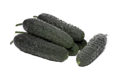 Ogórek odmiana Bohol F1, fot. Yuksel Seeds