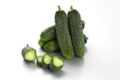 Ogórek odmiana Gladio F1, fot. Yuksell Seeds