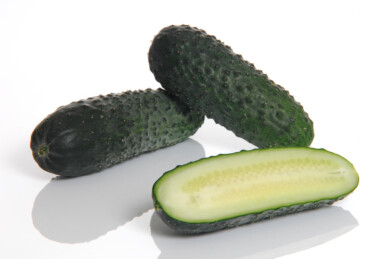 Ogórek odmiana Marvi F1, fot. Sakata