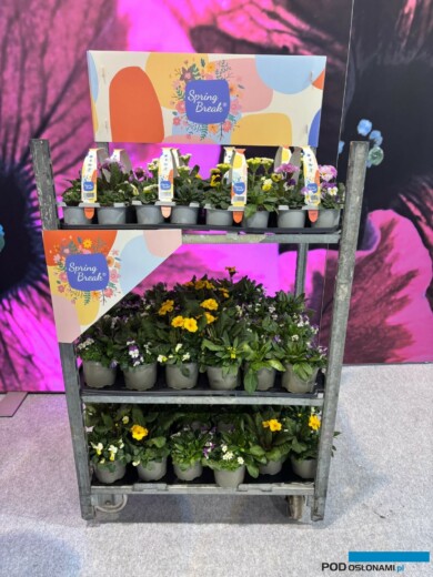 (fot. M. Federowicz)