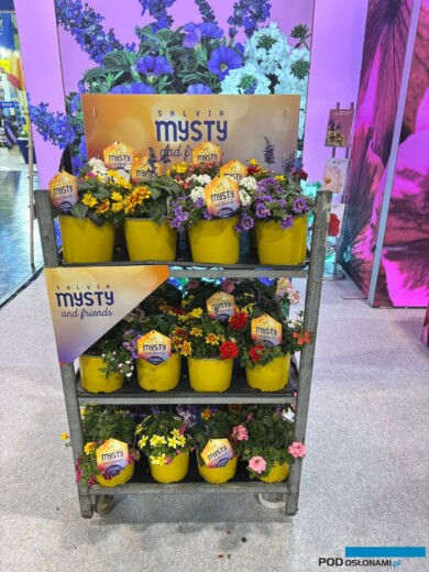 (fot. M. Federowicz)