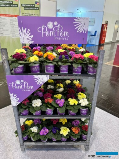 (fot. M. Federowicz)