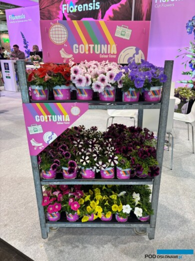 (fot. M. Federowicz)