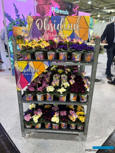 (fot. M. Federowicz)