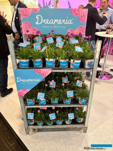 (fot. M. Federowicz)