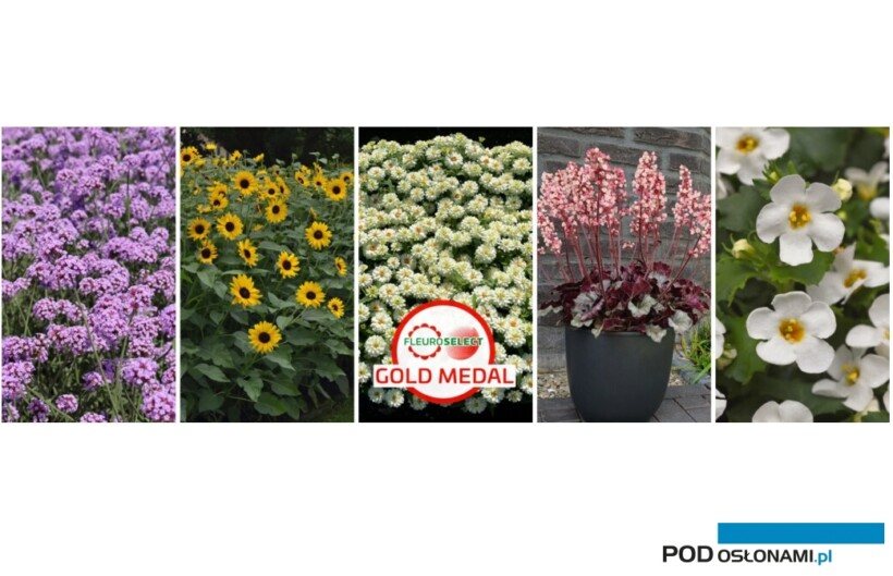 Odmiany roślin ozdobnych nagrodzone Złotymi Medalami Fleuroselectu (fot. Fleuroselect)