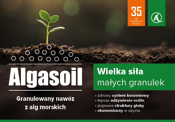 AGROSIMEX_ALGASOIL_BANNER_WWW_600x420_23-02-2026