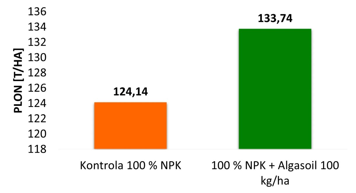 Wykres 1. Wpływ nawozu Algasoil na plonowanie kapusty białej. Fertico, 2018 r.