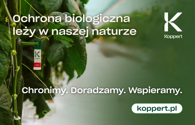 Koppert PodOsłonamiSzałeBanner
