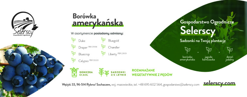 Gospodarstwo Ogrodnicze Selerscy; borówka amerykańska; sadzonki; rosliny jagodowe