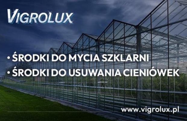 Vigrolux banner 620x400