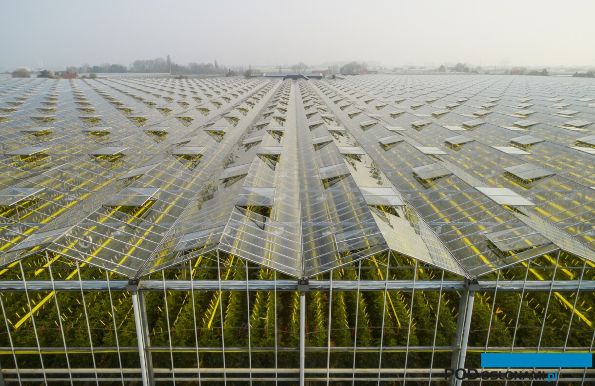 przybliżona suma PAR jest wykorzystywana w szklarniach w uprawach profesjonalnych