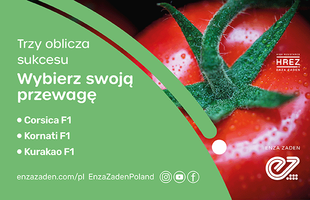 Enza Zaden baner_pomidor_620x400px_3