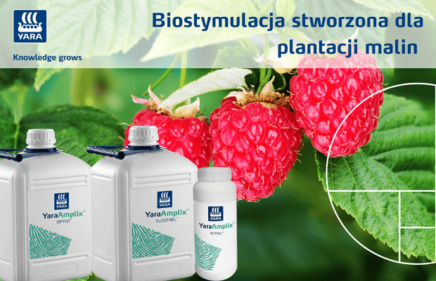 banner Yara do art konferencja malinowa z TSW