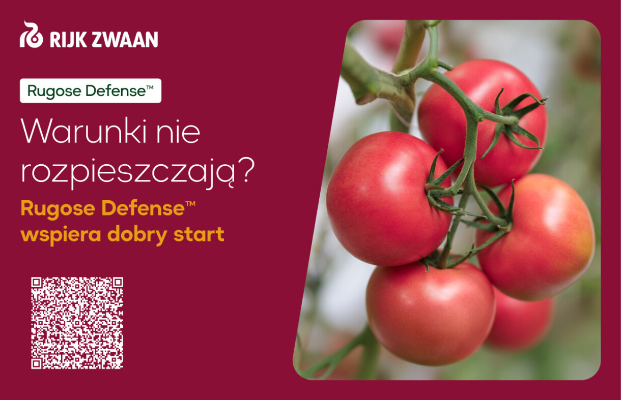 Rijk Zwaan_banner_rugose defense_620x400px_v3