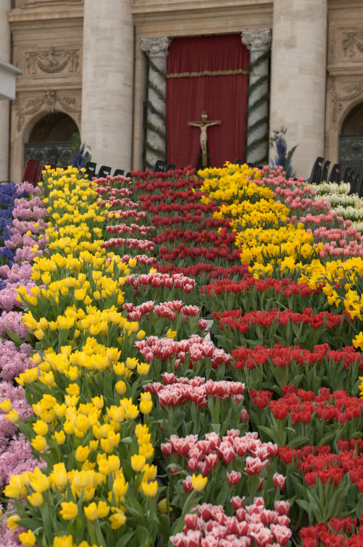 Wielkanocne dekoracje kwiatowe w Rzymie na Placu św. Piotra są już od 40 lat przygotowywane przez holenderskich ogrodników i florystów (fot. Stichting Bloemenpracht Rome)