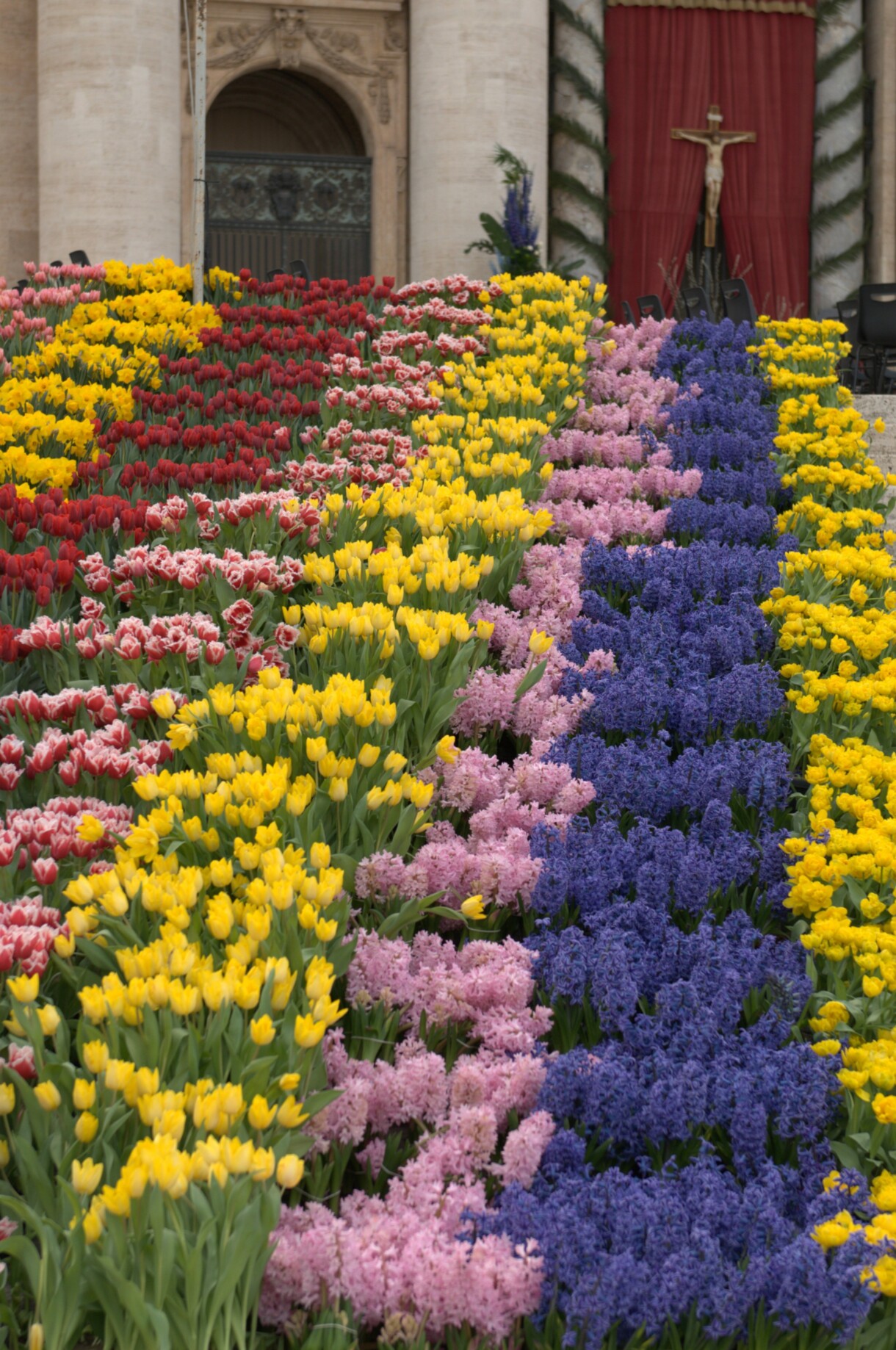 Wielkanocne dekoracje kwiatowe w Rzymie na Placu św. Piotra są już od 40 lat przygotowywane przez holenderskich ogrodników i florystów (fot. Stichting Bloemenpracht Rome), tulipany, hiacynty, narcyzy