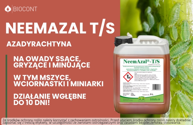 Neemazal T/S; Biocont; azadyrachtyna; zwalczanie szkodników; insektycyd na szkodniki gryzące, ssące i minujące;