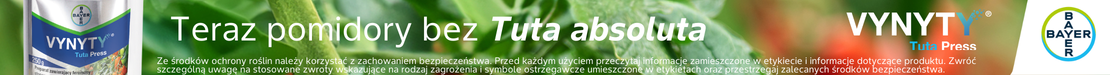Vynyty_Tuta_Press; Bayer; uprawa pomidota; Tuta absoluta, ochrona pomidora