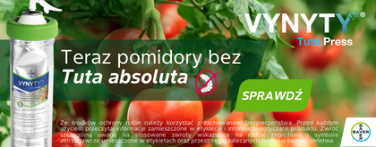Vynyty_Tuta_Press; Bayer; uprawa pomidota; Tuta absoluta, ochrona pomidora