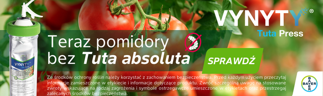Vynyty_Tuta_Press; Bayer; uprawa pomidota; Tuta absoluta, ochrona pomidora