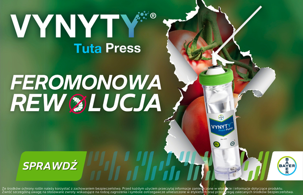 Bayer, Tuta absoluta, Vynyty Tuta Press, uprawa pomidora, uprawa pod osłonami, skośnik pomidorowy, zwalczanie szkodników