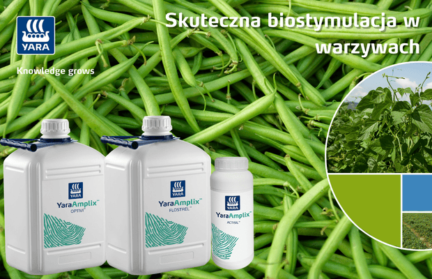 biostymulacja warzyw, banner Yara Poland, Yara Amplix, Optivi, Actisil, Flostrel