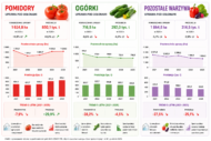 Produkcja warzyw pod osłonami 2025 (AI generated)