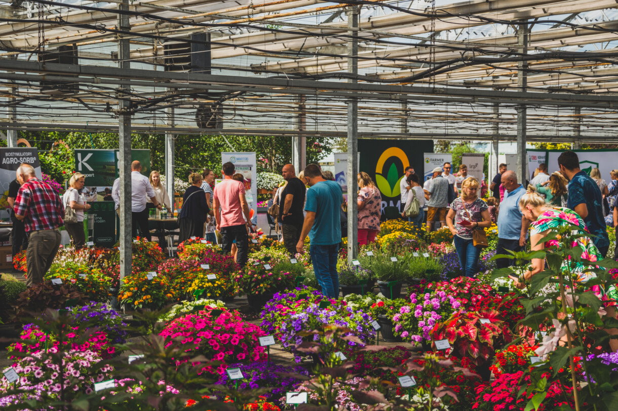 kompozycje kwiatowe, wystawa kwiatów Plantpol