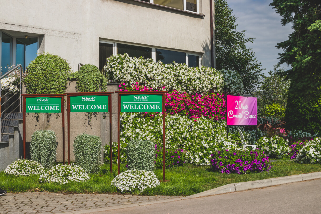 kompozycje kwiatowe, wystawa kwiatów Plantpol