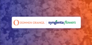 Syngenta Flowers i Dummen Orange, połączenie
